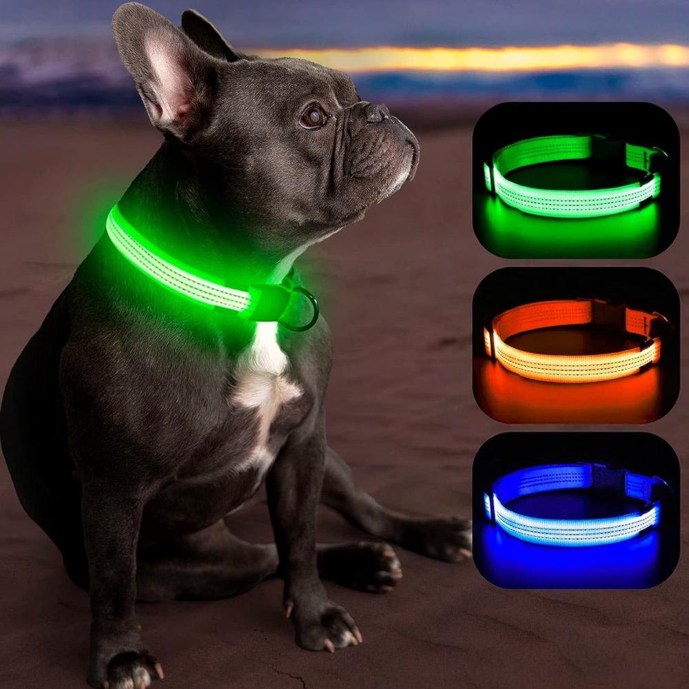 Glow In The Dark LED Dog Collar